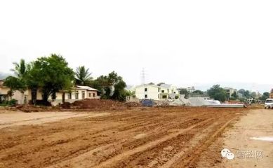 《園林綠化工程建設(shè)管理規(guī)定》解讀 規(guī)范工程施工，助力城市綠色發(fā)展