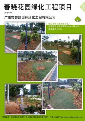 廣州市增城區辦公室綠化租賃與園林綠化工程施工 打造綠色生態辦公空間